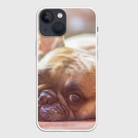 Чехол для iPhone 13 mini с принтом французский бульдог в Санкт-Петербурге,  |  | dog | бульдог | друг | собака | язык