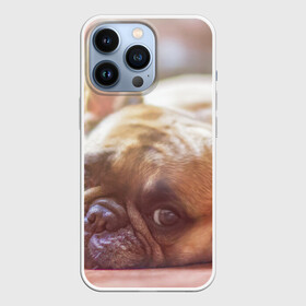 Чехол для iPhone 13 Pro с принтом французский бульдог в Санкт-Петербурге,  |  | dog | бульдог | друг | собака | язык