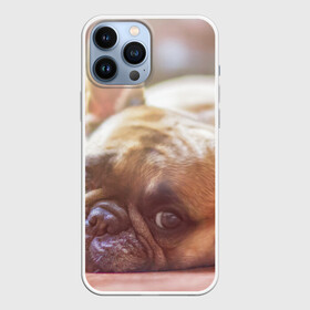 Чехол для iPhone 13 Pro Max с принтом французский бульдог в Санкт-Петербурге,  |  | dog | бульдог | друг | собака | язык