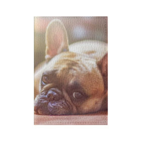 Обложка для паспорта матовая кожа с принтом французский бульдог в Санкт-Петербурге, натуральная матовая кожа | размер 19,3 х 13,7 см; прозрачные пластиковые крепления | Тематика изображения на принте: dog | бульдог | друг | собака | язык