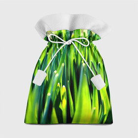 Подарочный 3D мешок с принтом Трава в Санкт-Петербурге, 100% полиэстер | Размер: 29*39 см | зелень | лето | природа | растения | солнце