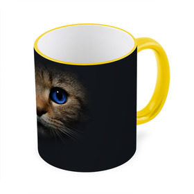Кружка 3D с принтом Кот с синими глазами в Санкт-Петербурге, керамика | ёмкость 330 мл | кот | котенок | кошка | мордочка