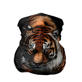 Бандана-труба 3D с принтом Tiger в Санкт-Петербурге, 100% полиэстер, ткань с особыми свойствами — Activecool | плотность 150‒180 г/м2; хорошо тянется, но сохраняет форму | тигр