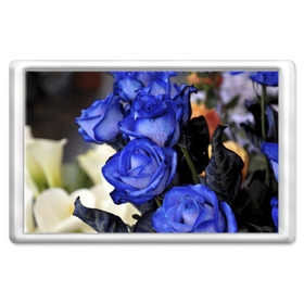 Магнит 45*70 с принтом Синие розы в Санкт-Петербурге, Пластик | Размер: 78*52 мм; Размер печати: 70*45 | девушкам | розы | синие | цветы