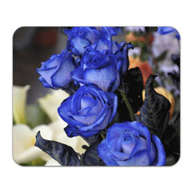 Коврик прямоугольный с принтом Синие розы в Санкт-Петербурге, натуральный каучук | размер 230 х 185 мм; запечатка лицевой стороны | девушкам | розы | синие | цветы
