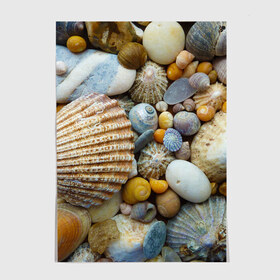 Постер с принтом Морские ракушки и камни в Санкт-Петербурге, 100% бумага
 | бумага, плотность 150 мг. Матовая, но за счет высокого коэффициента гладкости имеет небольшой блеск и дает на свету блики, но в отличии от глянцевой бумаги не покрыта лаком | камни | море | морские камни | ракушки