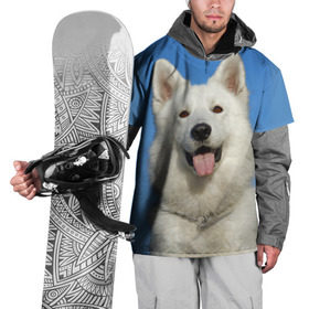 Накидка на куртку 3D с принтом белый пес в Санкт-Петербурге, 100% полиэстер |  | Тематика изображения на принте: dog | friend | взгляд | волк | друг | пес | собака | хаски
