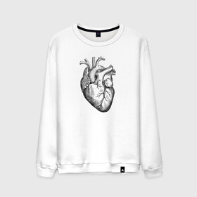 Мужской свитшот хлопок с принтом Heart в Санкт-Петербурге, 100% хлопок |  | Тематика изображения на принте: вектор | карандаш | кардиология | кровь | мышца | орган | пульс | рисунок | сердце | черный