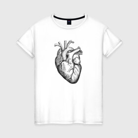 Женская футболка хлопок с принтом Heart в Санкт-Петербурге, 100% хлопок | прямой крой, круглый вырез горловины, длина до линии бедер, слегка спущенное плечо | вектор | карандаш | кардиология | кровь | мышца | орган | пульс | рисунок | сердце | черный