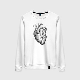 Женский свитшот хлопок с принтом Heart в Санкт-Петербурге, 100% хлопок | прямой крой, круглый вырез, на манжетах и по низу широкая трикотажная резинка  | вектор | карандаш | кардиология | кровь | мышца | орган | пульс | рисунок | сердце | черный