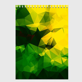 Скетчбук с принтом Polygonal в Санкт-Петербурге, 100% бумага
 | 48 листов, плотность листов — 100 г/м2, плотность картонной обложки — 250 г/м2. Листы скреплены сверху удобной пружинной спиралью | желтый | зеленый | полигоны