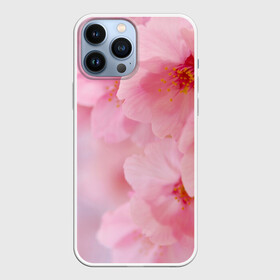 Чехол для iPhone 13 Pro Max с принтом Сакура в Санкт-Петербурге,  |  | Тематика изображения на принте: весна | вишня | розовый | цветение | цветы | япония