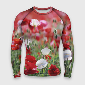 Мужской рашгард 3D с принтом Маки в Санкт-Петербурге,  |  | field | flowers | meadow | poppies | red | white | белые | красные | луг | маки | поле | полевые | цветы