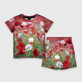 Детский костюм с шортами 3D с принтом Маки в Санкт-Петербурге,  |  | field | flowers | meadow | poppies | red | white | белые | красные | луг | маки | поле | полевые | цветы