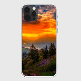 Чехол для iPhone 12 Pro Max с принтом Пейзаж в Санкт-Петербурге, Силикон |  | Тематика изображения на принте: горы | закат | лес | новая | природа