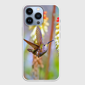 Чехол для iPhone 13 Pro с принтом Колибри в Санкт-Петербурге,  |  | Тематика изображения на принте: лепесток | новая | природа | птичка | цветок | яркая