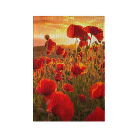 Обложка для паспорта матовая кожа с принтом Маки в Санкт-Петербурге, натуральная матовая кожа | размер 19,3 х 13,7 см; прозрачные пластиковые крепления | field | flowers | meadow | nature | poppies | red | sky | summer | sun | sunset | wild | закат | красные | лето | луг | маки | небо | поле | полевые | природа | солнце | цветы