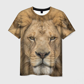 Мужская футболка 3D с принтом Лев в Санкт-Петербурге, 100% полиэфир | прямой крой, круглый вырез горловины, длина до линии бедер | грива | джунгли | животные | зверь | король | кровь | лев | охотник | хищник | царь