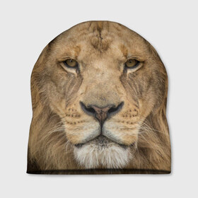 Шапка 3D с принтом Лев в Санкт-Петербурге, 100% полиэстер | универсальный размер, печать по всей поверхности изделия | грива | джунгли | животные | зверь | король | кровь | лев | охотник | хищник | царь