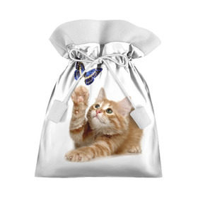 Подарочный 3D мешок с принтом Котенок и бабочка 2 в Санкт-Петербурге, 100% полиэстер | Размер: 29*39 см | бабочка | кот | котенок | кошка | мордочка