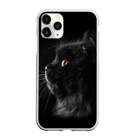 Чехол для iPhone 11 Pro матовый с принтом Милая кошечка в Санкт-Петербурге, Силикон |  | osfenemy | животное | животные | киса | кошечка | кошка | милая | мур | мяу | фото | черный