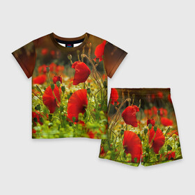 Детский костюм с шортами 3D с принтом Маки в Санкт-Петербурге,  |  | field | flowers | meadow | nature | poppies | poppy | red | summer | wild | красные | лето | луг | мак | маки | поле | полевые | природа | цветы