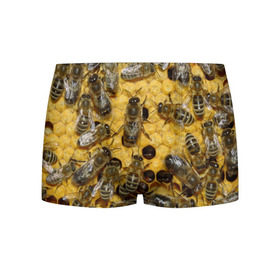 Мужские трусы 3D с принтом Пчела в Санкт-Петербурге, 50% хлопок, 50% полиэстер | классическая посадка, на поясе мягкая тканевая резинка | лето | мед | насекомые | оса | природа | пчелы | шмель