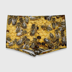 Мужские купальные плавки 3D с принтом Пчела в Санкт-Петербурге, Полиэстер 85%, Спандекс 15% |  | Тематика изображения на принте: лето | мед | насекомые | оса | природа | пчелы | шмель