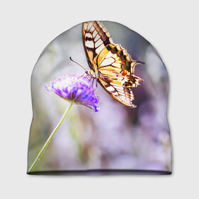 Шапка 3D с принтом Бабочка 1 в Санкт-Петербурге, 100% полиэстер | универсальный размер, печать по всей поверхности изделия | бабочки | прикольные картинки | природа | цветы