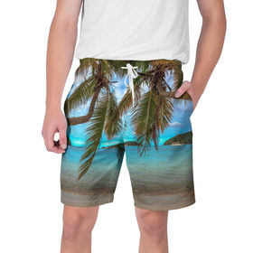 Мужские шорты 3D с принтом Пальма в Санкт-Петербурге,  полиэстер 100% | прямой крой, два кармана без застежек по бокам. Мягкая трикотажная резинка на поясе, внутри которой широкие завязки. Длина чуть выше колен | Тематика изображения на принте: море | отдых | отпуск | пальмы | пляж | солнце | туризм