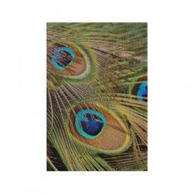 Обложка для паспорта матовая кожа с принтом перо павлина в Санкт-Петербурге, натуральная матовая кожа | размер 19,3 х 13,7 см; прозрачные пластиковые крепления | павлин | перо | перышки | птица