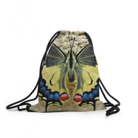 Рюкзак-мешок 3D с принтом бабочка в Санкт-Петербурге, 100% полиэстер | плотность ткани — 200 г/м2, размер — 35 х 45 см; лямки — толстые шнурки, застежка на шнуровке, без карманов и подкладки | бабочка | мотылек | насекомые