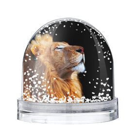 Снежный шар с принтом Лев в Санкт-Петербурге, Пластик | Изображение внутри шара печатается на глянцевой фотобумаге с двух сторон | lion | лев | хищник
