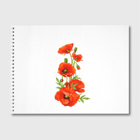 Альбом для рисования с принтом Маки в Санкт-Петербурге, 100% бумага
 | матовая бумага, плотность 200 мг. | field | flowers | poppies | poppy | red | wild | красные | мак | маки | поле | полевые | цветы