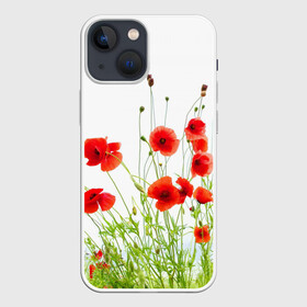 Чехол для iPhone 13 mini с принтом Маки в Санкт-Петербурге,  |  | field | flowers | meadow | nature | poppies | poppy | red | summer | wild | красные | лето | луг | мак | маки | поле | полевые | природа | цветы