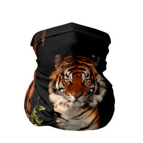 Бандана-труба 3D с принтом Тигр в Санкт-Петербурге, 100% полиэстер, ткань с особыми свойствами — Activecool | плотность 150‒180 г/м2; хорошо тянется, но сохраняет форму | дикая кошка | лес | природа | тигр | хищник