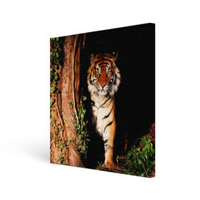 Холст квадратный с принтом Тигр в Санкт-Петербурге, 100% ПВХ |  | Тематика изображения на принте: дикая кошка | лес | природа | тигр | хищник