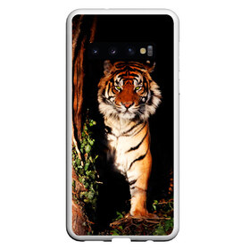 Чехол для Samsung Galaxy S10 с принтом Тигр в Санкт-Петербурге, Силикон | Область печати: задняя сторона чехла, без боковых панелей | Тематика изображения на принте: дикая кошка | лес | природа | тигр | хищник