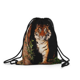 Рюкзак-мешок 3D с принтом Тигр в Санкт-Петербурге, 100% полиэстер | плотность ткани — 200 г/м2, размер — 35 х 45 см; лямки — толстые шнурки, застежка на шнуровке, без карманов и подкладки | дикая кошка | лес | природа | тигр | хищник