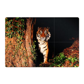 Магнитный плакат 3Х2 с принтом Тигр в Санкт-Петербурге, Полимерный материал с магнитным слоем | 6 деталей размером 9*9 см | Тематика изображения на принте: дикая кошка | лес | природа | тигр | хищник