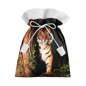 Подарочный 3D мешок с принтом Тигр в Санкт-Петербурге, 100% полиэстер | Размер: 29*39 см | дикая кошка | лес | природа | тигр | хищник