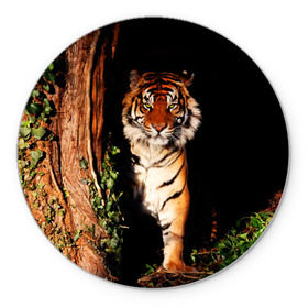 Коврик круглый с принтом Тигр в Санкт-Петербурге, резина и полиэстер | круглая форма, изображение наносится на всю лицевую часть | дикая кошка | лес | природа | тигр | хищник
