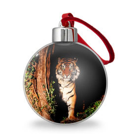 Ёлочный шар с принтом Тигр в Санкт-Петербурге, Пластик | Диаметр: 77 мм | дикая кошка | лес | природа | тигр | хищник