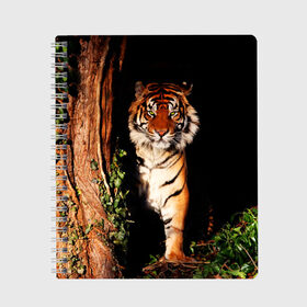 Тетрадь с принтом Тигр в Санкт-Петербурге, 100% бумага | 48 листов, плотность листов — 60 г/м2, плотность картонной обложки — 250 г/м2. Листы скреплены сбоку удобной пружинной спиралью. Уголки страниц и обложки скругленные. Цвет линий — светло-серый
 | Тематика изображения на принте: дикая кошка | лес | природа | тигр | хищник