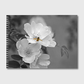Альбом для рисования с принтом Пчела на цветах в Санкт-Петербурге, 100% бумага
 | матовая бумага, плотность 200 мг. | лепестки | цветы