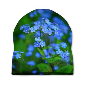 Шапка 3D с принтом Синие цветы в Санкт-Петербурге, 100% полиэстер | универсальный размер, печать по всей поверхности изделия | лепестки | прикольные картинки | цветочки | цветы