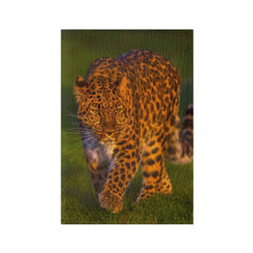Обложка для паспорта матовая кожа с принтом Дальневосточный леопард в Санкт-Петербурге, натуральная матовая кожа | размер 19,3 х 13,7 см; прозрачные пластиковые крепления | 