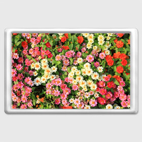 Магнит 45*70 с принтом Весеннее настроение в Санкт-Петербурге, Пластик | Размер: 78*52 мм; Размер печати: 70*45 | Тематика изображения на принте: аромат | букет | вазон | великолепие | краски | красота | куст | луг | полевые цветы | полянка | природа | растения | розы | ромашки | тюльпаны | украшение | фауна | цветник | цветок | цветочек | цветы