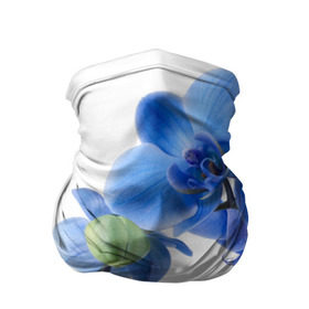 Бандана-труба 3D с принтом Веточка орхидеи в Санкт-Петербурге, 100% полиэстер, ткань с особыми свойствами — Activecool | плотность 150‒180 г/м2; хорошо тянется, но сохраняет форму | ветка | красота | нежность | орхидея | природа | растение | фауна | цветок | цветы