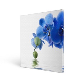 Холст квадратный с принтом Веточка орхидеи в Санкт-Петербурге, 100% ПВХ |  | ветка | красота | нежность | орхидея | природа | растение | фауна | цветок | цветы